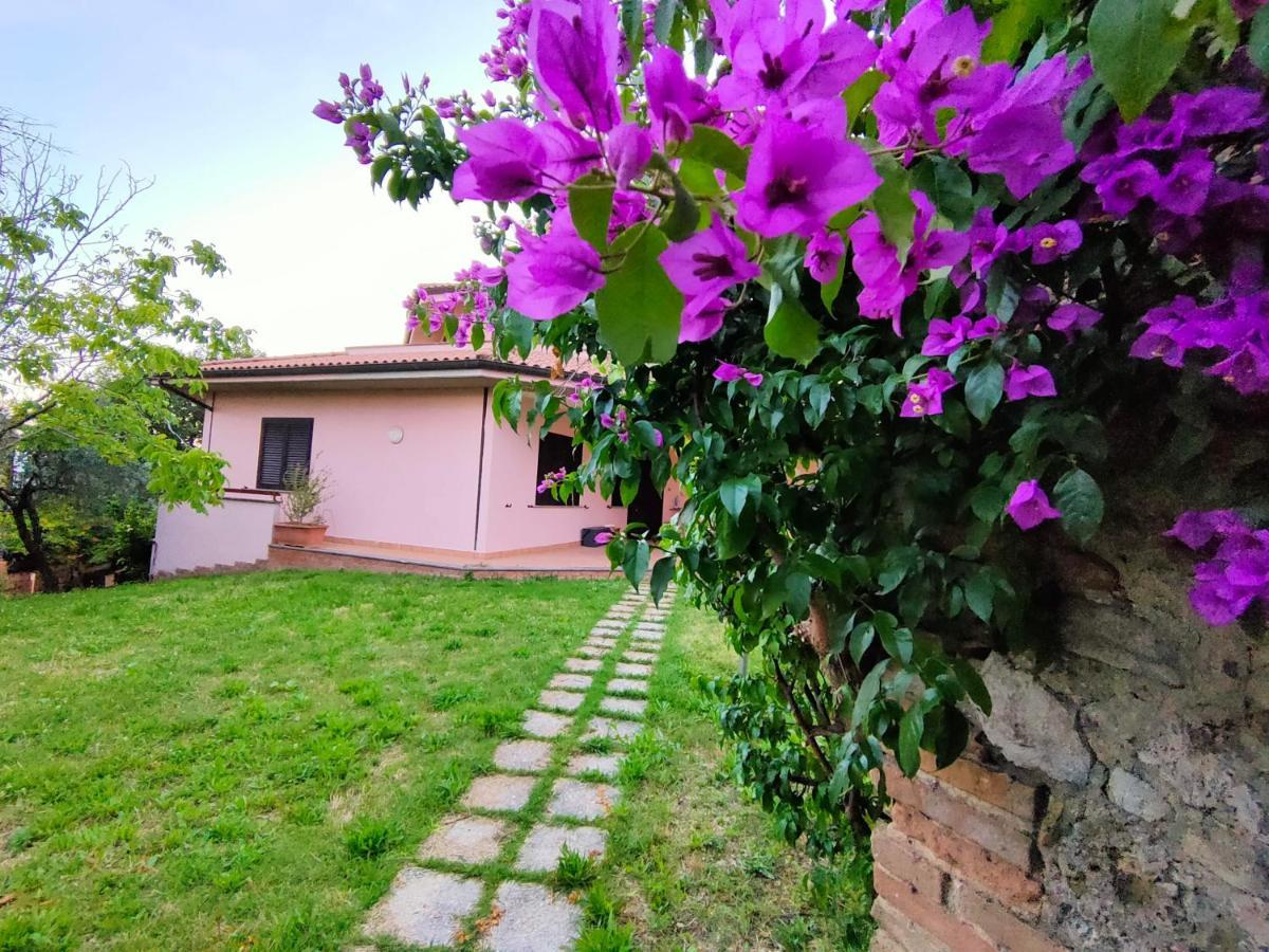 Bella Vista - Belvedere Montebuono  ภายนอก รูปภาพ